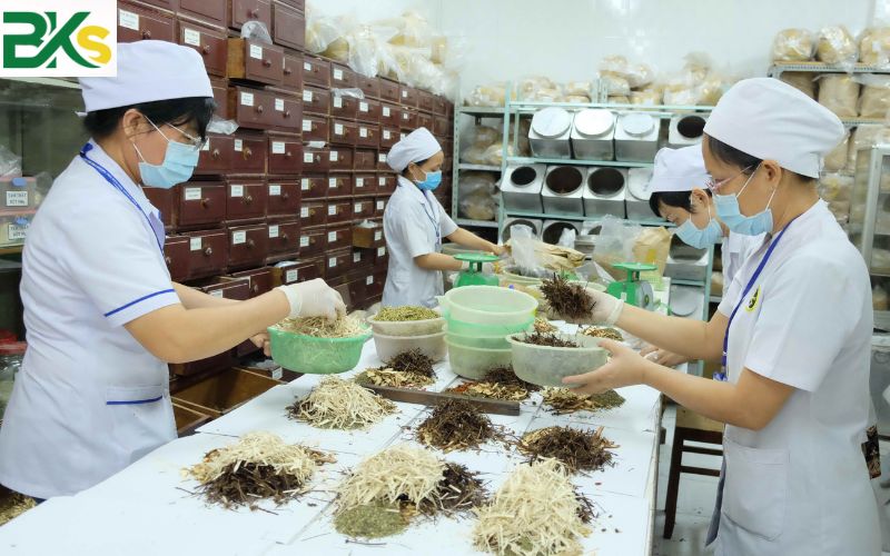 Chương trình Trung cấp Y học cổ truyền học gì? 7 Vì sao nên học Trung cấp Y học cổ truyền tại Trường Trung cấp Công Nghệ Bách Khoa?