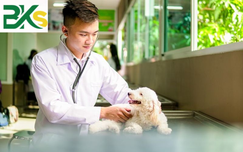 Chương trình Trung cấp Thú Y vừa học vừa làm