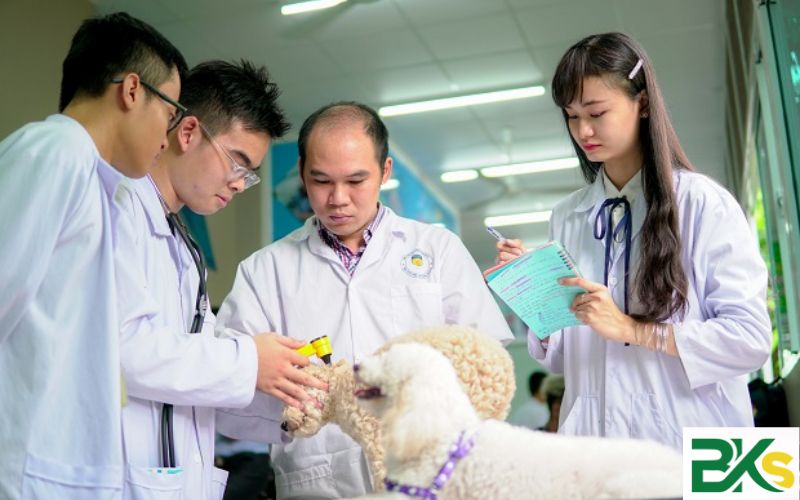 Điều kiện tuyển sinh Trung cấp Thú y vừa học vừa làm