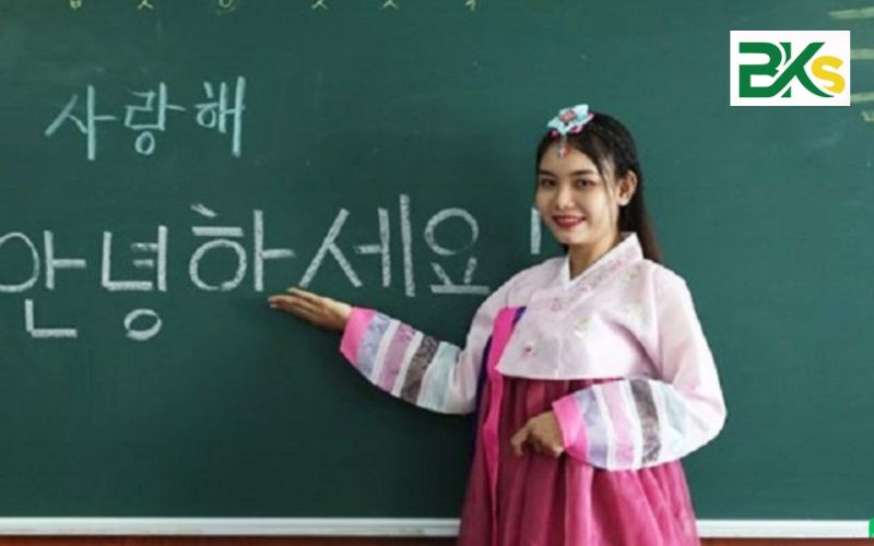 Học cao đẳng tiếng Hàn online khu vực miền Nam là học những gì?