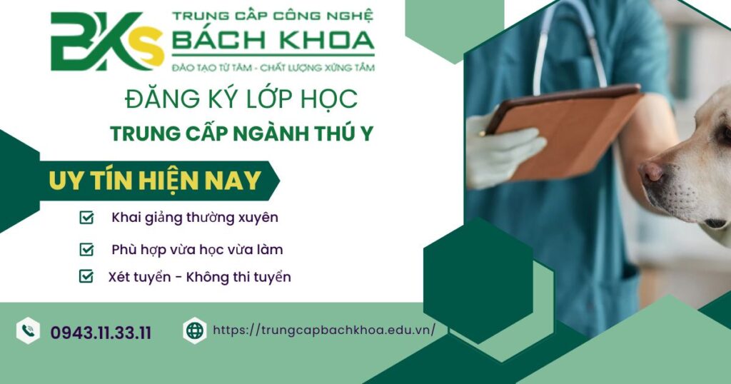 Học Trung cấp ngành Thú y online khu vực miền Nam