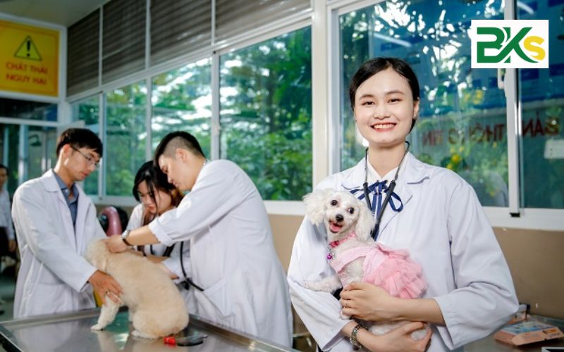 Trung cấp ngành Thú y online là học cái gì, học ra sao?