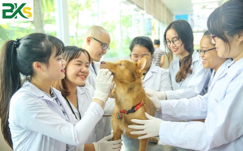 Vì sao học Trung cấp Thú y vừa học vừa làm lại được nhiều lợi ích?