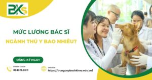 Bác sĩ Thú Y lương bao nhiêu?