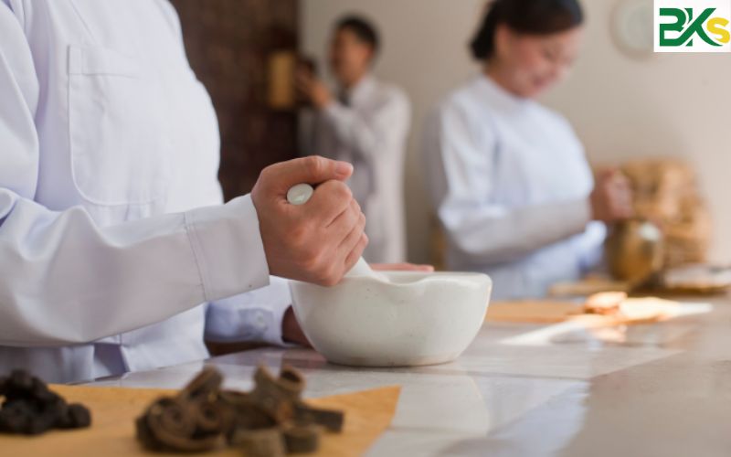 Chương trình đào tạo học Trung cấp online ngành Y học cổ truyền gồm những gì?