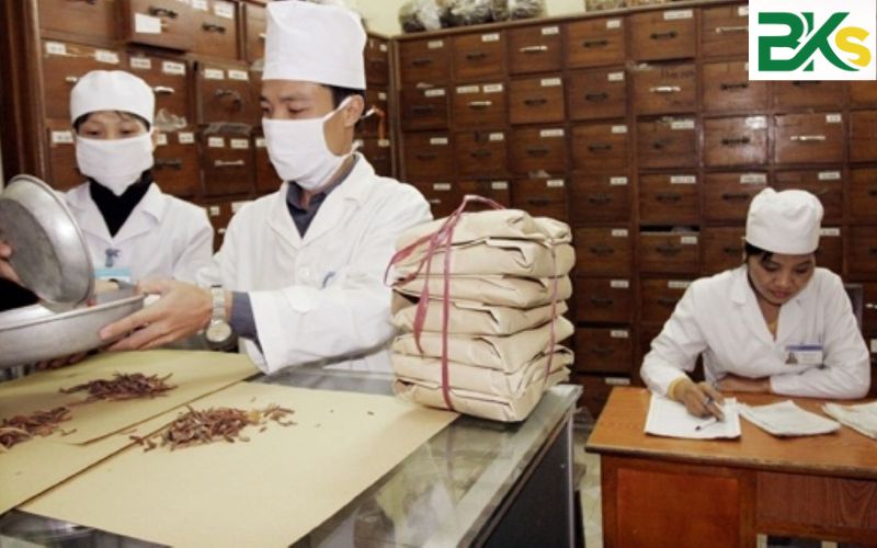 Lý do nhiều người đi làm chọn học Trung cấp online ngành Y học cổ truyền?