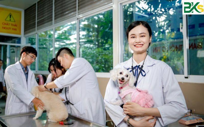 Top Trường đào tạo Trung cấp Thú y