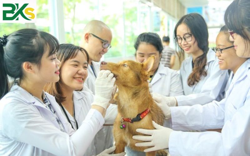 Vì sao nên học Trường đào tạo Trung cấp Thú y tại Long An?