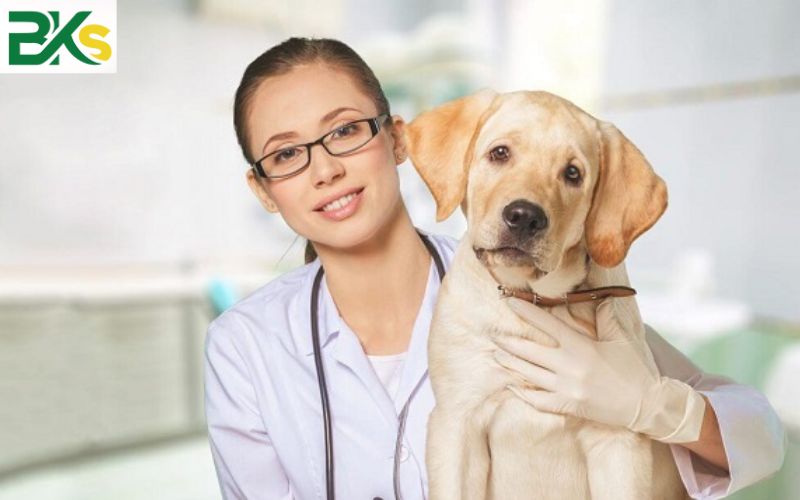 Các trường đào tạo Cao đẳng Thú Y tại TPHCM