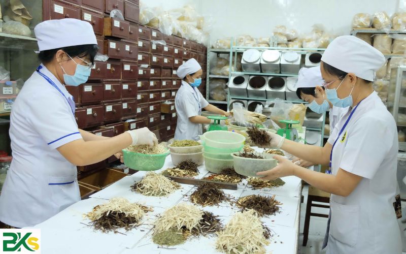 Các trường đào tạo Y học cổ truyền từ xa hiện nay có gì đáng chú ý?