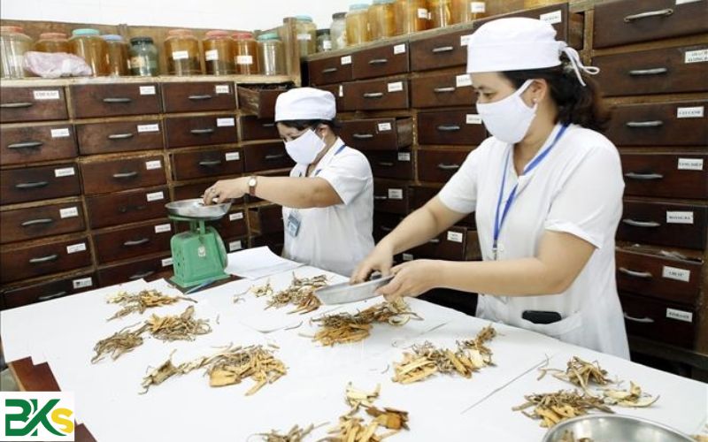 Chương trình học ngành Y học cổ truyền từ xa có gì?