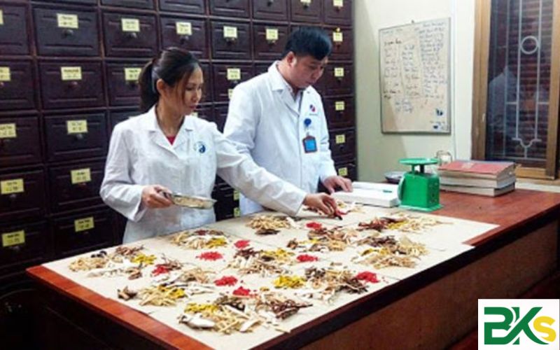 Vì sao nhiều người chọn học Trường đào tạo ngành Y học cổ truyền Từ xa?