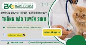 Thông báo tuyển sinh Liên thông từ Trung cấp Thú Y lên Đại học