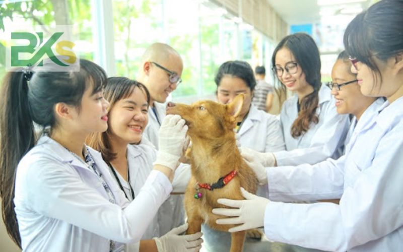 Khóa học Liên thông Trung cấp Thú Y online lên đại học uy tín 7 Ai nên đăng ký khóa học Liên thông Trung cấp Thú Y online lên Đại học?