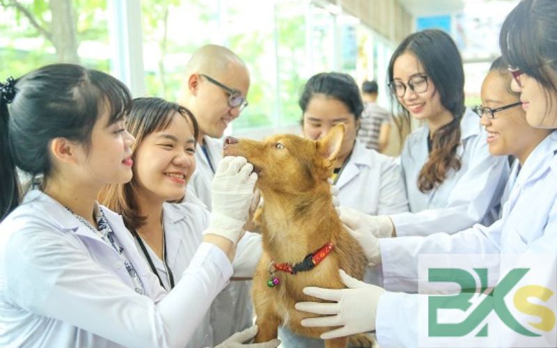 Ai phù hợp với chương trình đào tạo ngành Thú Y hệ từ xa?