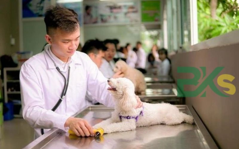 Chương trình đào tạo ngành Thú Y hệ từ xa bậc Trung cấp