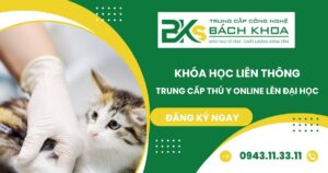 Khóa học Liên thông Trung cấp Thú Y online lên đại học uy tín