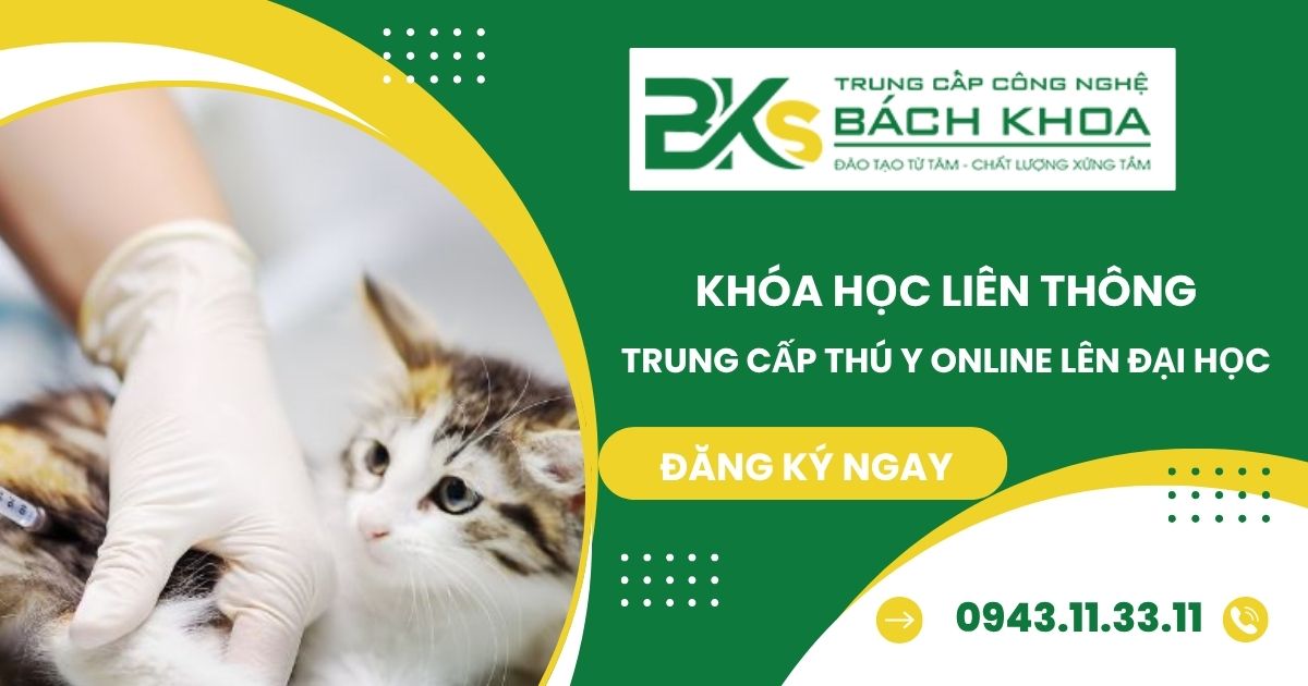 Khóa học Liên thông Trung cấp Thú Y online lên đại học uy tín 10 Khóa học Liên thông Trung cấp Thú Y online lên đại học uy tín