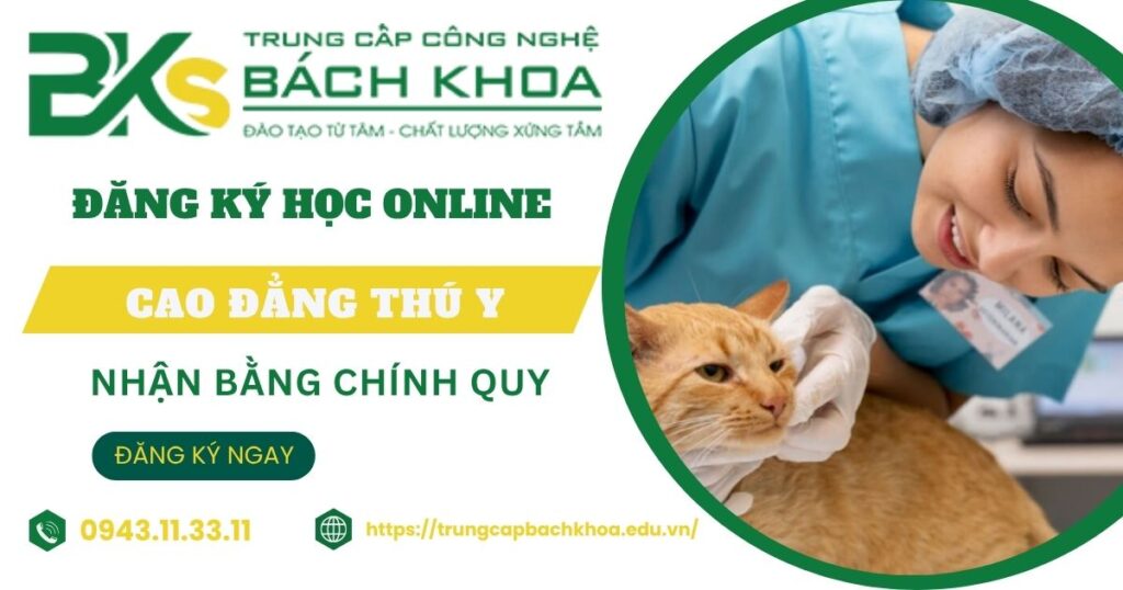 Nên học Đại học hay Cao đẳng ngành Thú Y? 4 Nên học Đại học hay Cao đẳng ngành Thú Y?