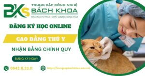 Nên học Đại học hay Cao đẳng ngành Thú Y?