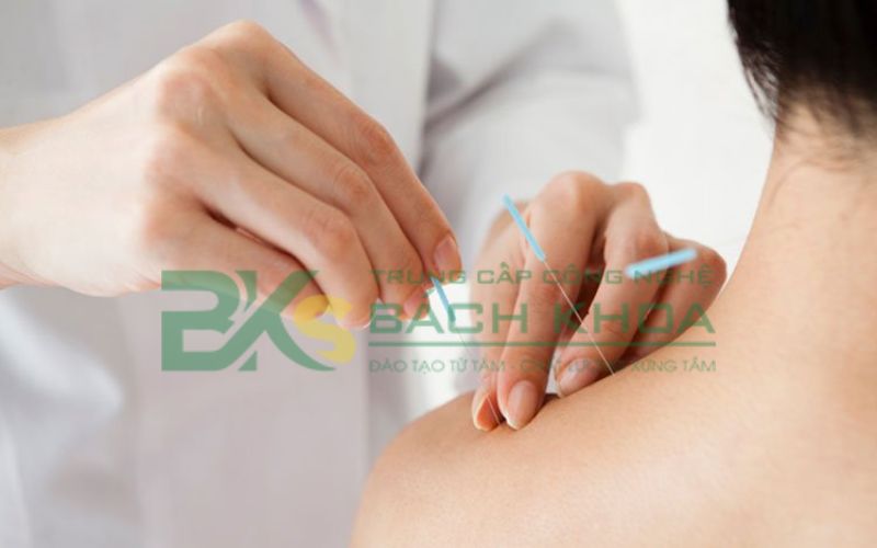Mức học phí ngành Y học cổ truyền mới nhất 6 Học phí ngành Y học cổ truyền