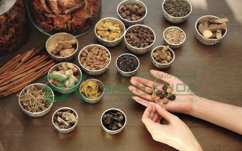 Học phí Trung cấp Y học cổ truyền có phù hợp với người đi làm không?