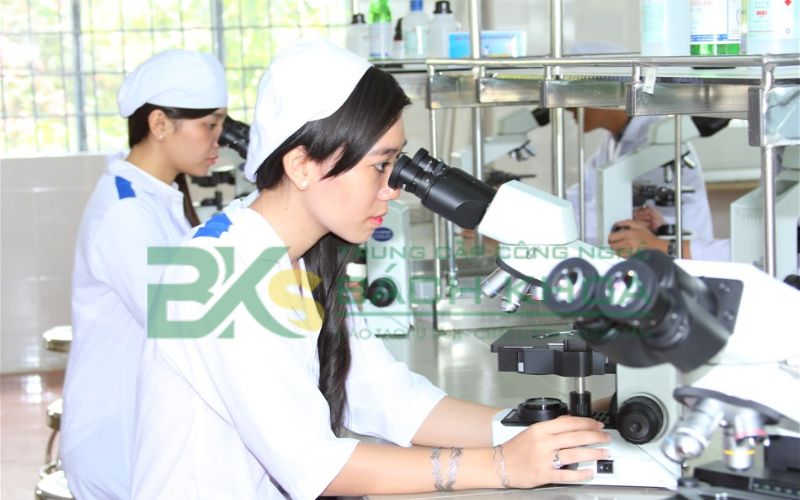 Cơ hội việc làm ngành Dược sau khi ra trường 6 Học Trung cấp Dược tại Trường Trung cấp Công Nghệ Bách Khoa học những gì?
