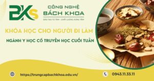 Khóa học ngành Y học cổ truyền học cuối tuần dành cho người đi làm