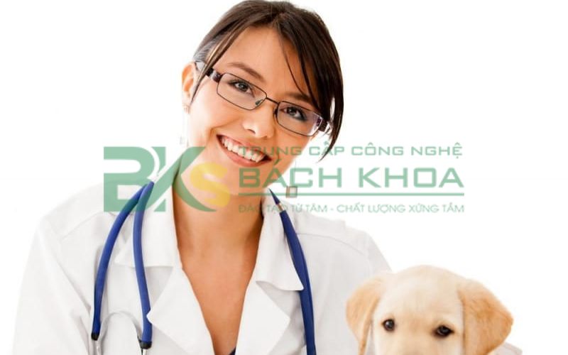 Trường đào tạo ngành Thú Y uy tín tại TPHCM? 5 Học đào tạo ngành Thú Y