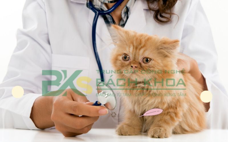 Trường đào tạo ngành Thú Y uy tín tại TPHCM? 7 Mục tiêu đào tạo ngành Thú Y